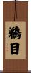 鵜目 Scroll