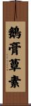 鵝膏蕈素 Scroll