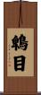 鵯目 Scroll