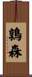 鶉森 Scroll