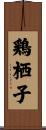 鶏栖子 Scroll