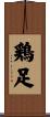 鶏足 Scroll