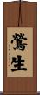 鶯生 Scroll