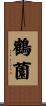 鶴薗 Scroll