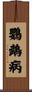 鸚鵡病 Scroll