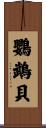 鸚鵡貝 Scroll