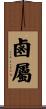 鹵屬 Scroll