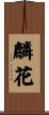 麟花 Scroll