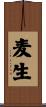 麦生 Scroll