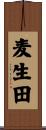 麦生田 Scroll