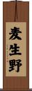 麦生野 Scroll