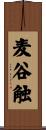麦谷触 Scroll