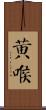 黃喉 Scroll