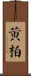 黃柏 Scroll