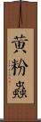 黃粉蟲 Scroll