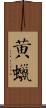黃蠟 Scroll