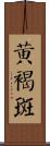 黃褐斑 Scroll
