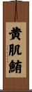 黄肌鮪 Scroll