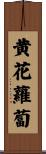 黄花蘿蔔 Scroll