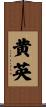 黄英 Scroll