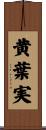 黄葉実 Scroll