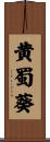 黄蜀葵 Scroll