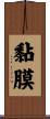 黏膜 Scroll