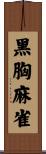 黑胸麻雀 Scroll