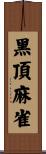 黑頂麻雀 Scroll