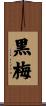 黒梅 Scroll