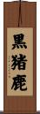 黒猪鹿 Scroll