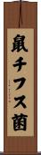 鼠チフス菌 Scroll