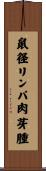 鼠径リンパ肉芽腫 Scroll