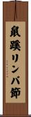鼠蹊リンパ節 Scroll