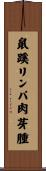 鼠蹊リンパ肉芽腫 Scroll