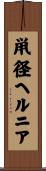 鼡径ヘルニア Scroll