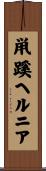 鼡蹊ヘルニア Scroll