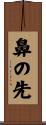 鼻の先 Scroll