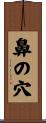 鼻の穴 Scroll