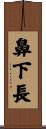 鼻下長 Scroll
