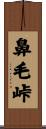 鼻毛峠 Scroll