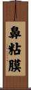 鼻粘膜 Scroll