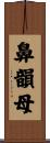 鼻韻母 Scroll