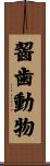 齧歯動物 Scroll