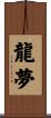 龍夢 Scroll