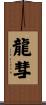 龍彗 Scroll