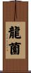 龍薗 Scroll