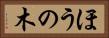 ほうの木 Horizontal Portrait