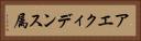 アエクィデンス属 Horizontal Portrait