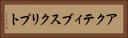 アクティブスクリプト Horizontal Portrait